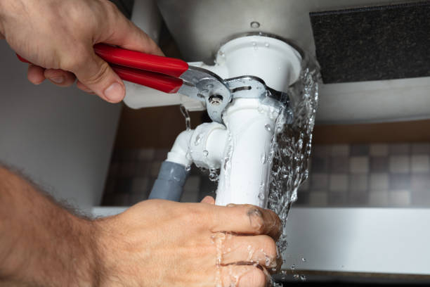 Best Water damage restoration mold remediation  in Leisure Village East, NJ