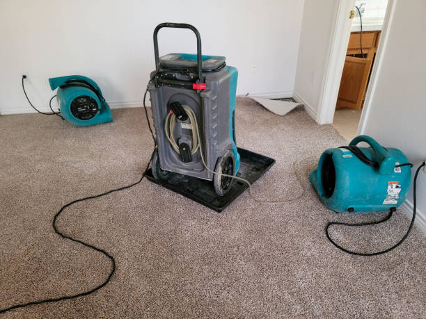 Best Commercial water damage restoration  in Leisure Village East, NJ