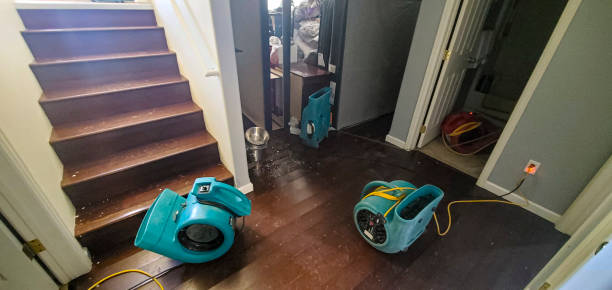 Best Water damage cleanup near me  in Leisure Village East, NJ