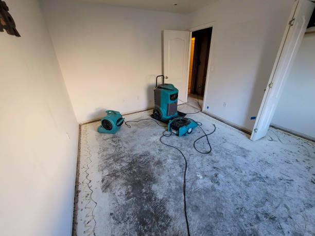 Best Water damage contractors near me  in Leisure Village East, NJ