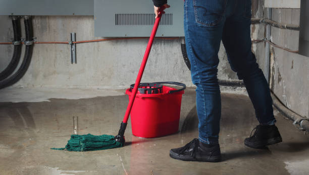 Best Water damage cleanup near me  in Leisure Village East, NJ
