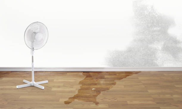 Best Water damage restoration near me  in Leisure Village East, NJ