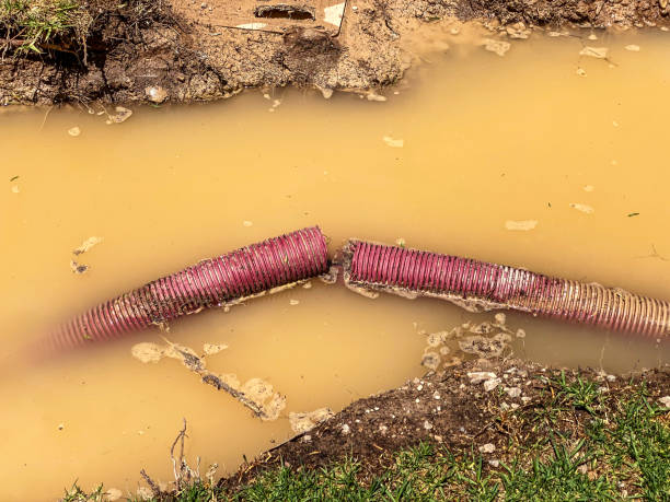 Best Local water damage restoration  in Leisure Village East, NJ